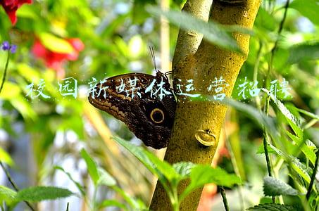 校园新媒体平台(长城新媒体首个“长城校园记者站”挂牌成立啦)