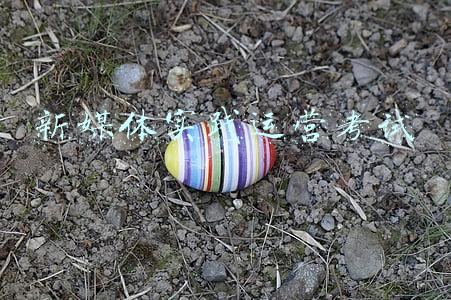 新媒体实践运营考试
