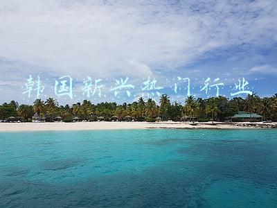 韩国大热门(盘点去韩国留学的10大热门专业，有你想学的吗？)