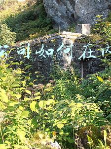 香港公司如何查询，香港公司如何查询工商信息