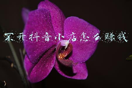 开什么小店比较赚钱(河南残疾小伙开按摩店，一年盈利270万，他的生意策略你可以学学)