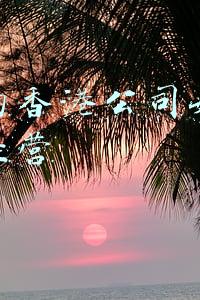为什么很多公司都在香港注册了公司-为什么要在香港注册公司