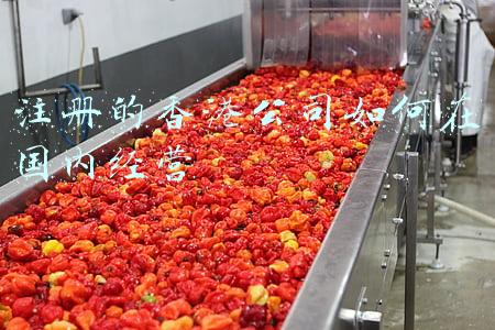 在香港注册公司了再在国内注册可以吗 香港公司可以自己注册吗