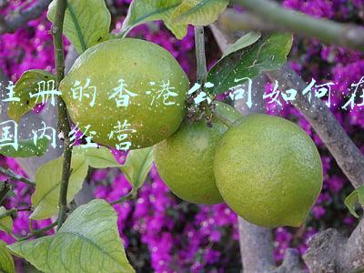 国内注册香港公司，内地在香港注册公司