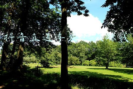 直通车(淘宝直通车最详细操作流程，助你快速从入门到精通，不用再迷茫了)