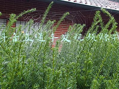 出口跨境电商直通车(民生直通车丨跨境电商升温 国货出海成“香饽饽”)