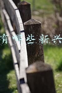武汉有哪些新兴行业