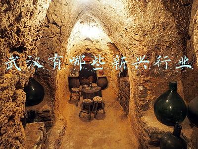 武汉有哪些一本大学(武汉高校:2021河南文科一本投档线,华农,江大上升;武理,民大下滑)