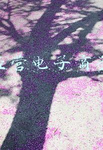 电子商务如何创业 电子商务如何创业创新