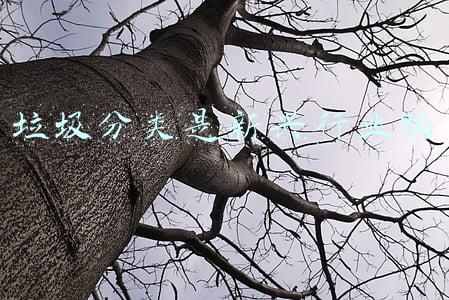 垃圾分类发展前景(2019年中国垃圾分类行业运行现状及前景分析 互联网+垃圾回收前景广阔)