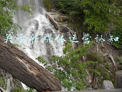 新媒体运营理念(新手小白对自媒体的六个误区，解决了，你就可以轻松年入几十万)