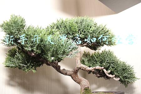 新手开美甲店如何经营