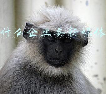 为什么企业要求员工考人力资源管理师(5大理由告诉你为什么要考人力资源管理师？)