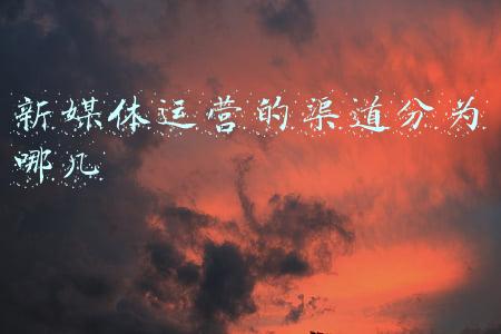 新媒体运营分为哪几种(新媒体运营人必备的运营工具大全，让你全面了解新媒体运营)