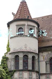 宠物店买猫多少钱《宠物店一只猫要多少钱》