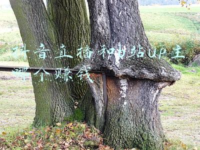 b站up主靠什么赚钱(B站UP主：有人年入百万，有人忍痛放弃)
