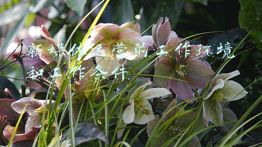 新媒体环境定义(新媒体环境下 受众呈现出哪些新特点？)