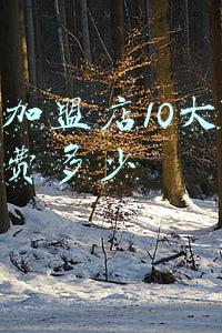 奶茶加盟店10大品牌,奶茶加盟店10大品牌加盟费多少