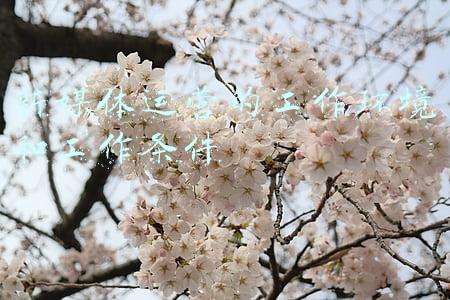 新媒体行业环境分析(新媒体时代媒介融合下深度报道面临的挑战与困境分析)