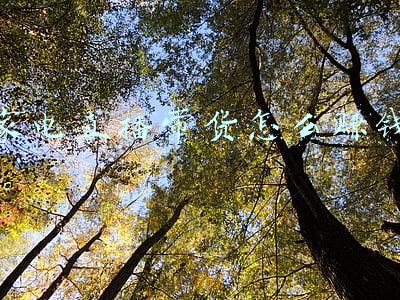 家电类直播带货(家电零售商痛并快乐着：家家都在电商，人人都能带货)