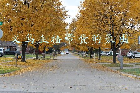 义乌直播带货培训(直播带货也能评职称了！电商直播首本国家级职业培训教材在义乌发布)