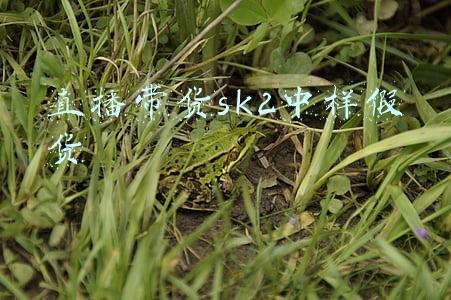 直播带货sk2中样假货