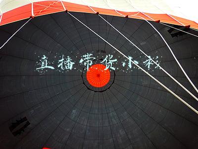 带货主播(两名带货主播涉嫌偷逃税被查，主播带货收入有多高？)