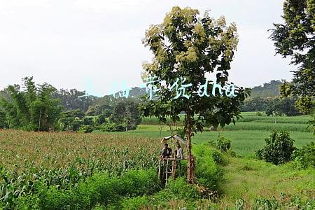 直播带货话术全套(直播带货主播聊天话术900句？教你不冷场)