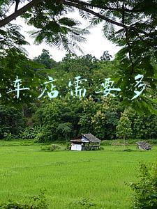 北京开个洗车店要多少钱-开个洗车店要多少钱