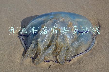 开洗车店要投资多少钱 开一个洗车店需要投资多少钱