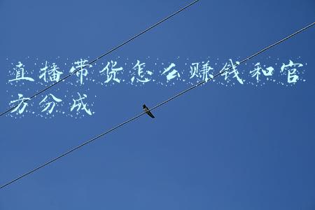1688找货神器官方下载(2021做电商必备的6大提效工具/软件)