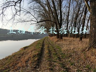 网络直播带货数据分析(淘宝直播带货另类数据分析：直播带货是怎样一种“江湖”？)