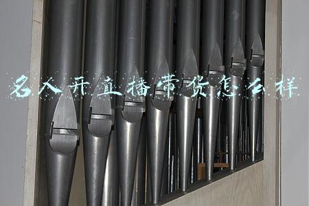 名人带货直播看法(新民快评｜名人直播带货，莫碰法律红线)