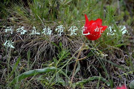 网络直播带货包邮怎么做