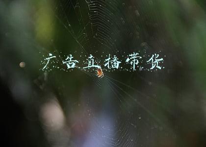 直播带货广告文案(星域森林 | 直播带货如何写文案？李佳琦带货文案模板来了)