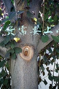 直播带货小黄车怎么弄(入局直播带货，消息称B站一周内将上线“小黄车”)