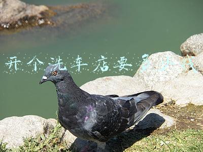 开个洗车店要多少钱洗车店加盟要多少钱 开一个洗车店加盟大概要多少钱