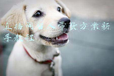 直播间留人带货方案新手教程