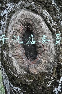 干洗店加盟费多少钱_加盟干洗店要多少钱大概