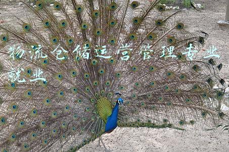 物流仓储运营管理专业就业