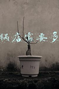 开火锅店需要多少钱资金，开一家火锅店需要多少资金