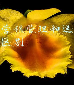 市场营销管理和运营管理的区别