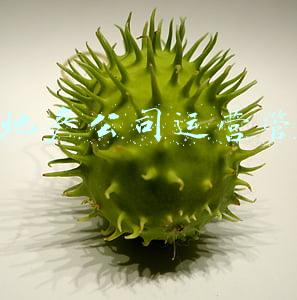 房地产公司运营管理制度(房地产公司例会管理制度)