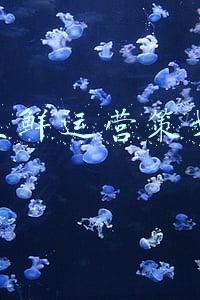 线下运营推广公司(漳泽农商行：线上线下联动营销 网络定位精准服务)