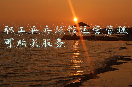 乒乓球馆(鲁豫做客王楠海景别墅!宫殿一般金碧辉煌,豪华乒乓球馆教儿女打球)