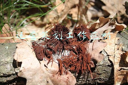 运营策划工作范畴