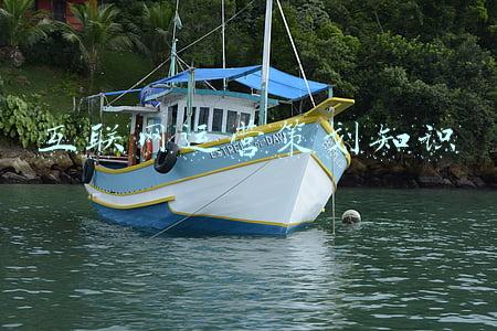 互联网运营主要做什么(互联网三大岗位：技术、产品、运营，哪个相对来说越老越值钱呢？)