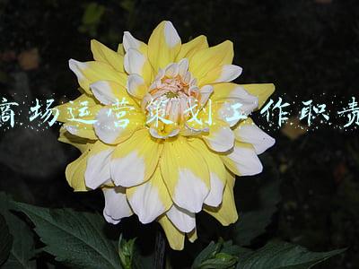商场策划部工作职责(老约翰品牌策划告诉你，企划部到底在企划什么？)
