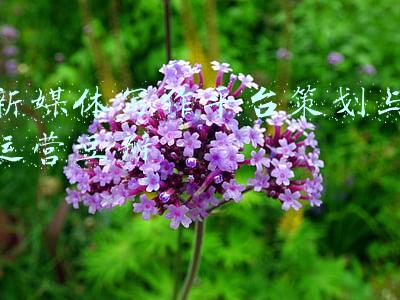 新媒体文案策划与写作考试(新闻教育起步早，发展快~华东师范大学新传考研完全指南来了)