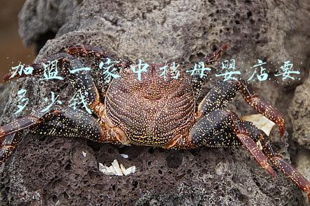 母婴加盟店要多少钱_加盟母婴店得多少钱